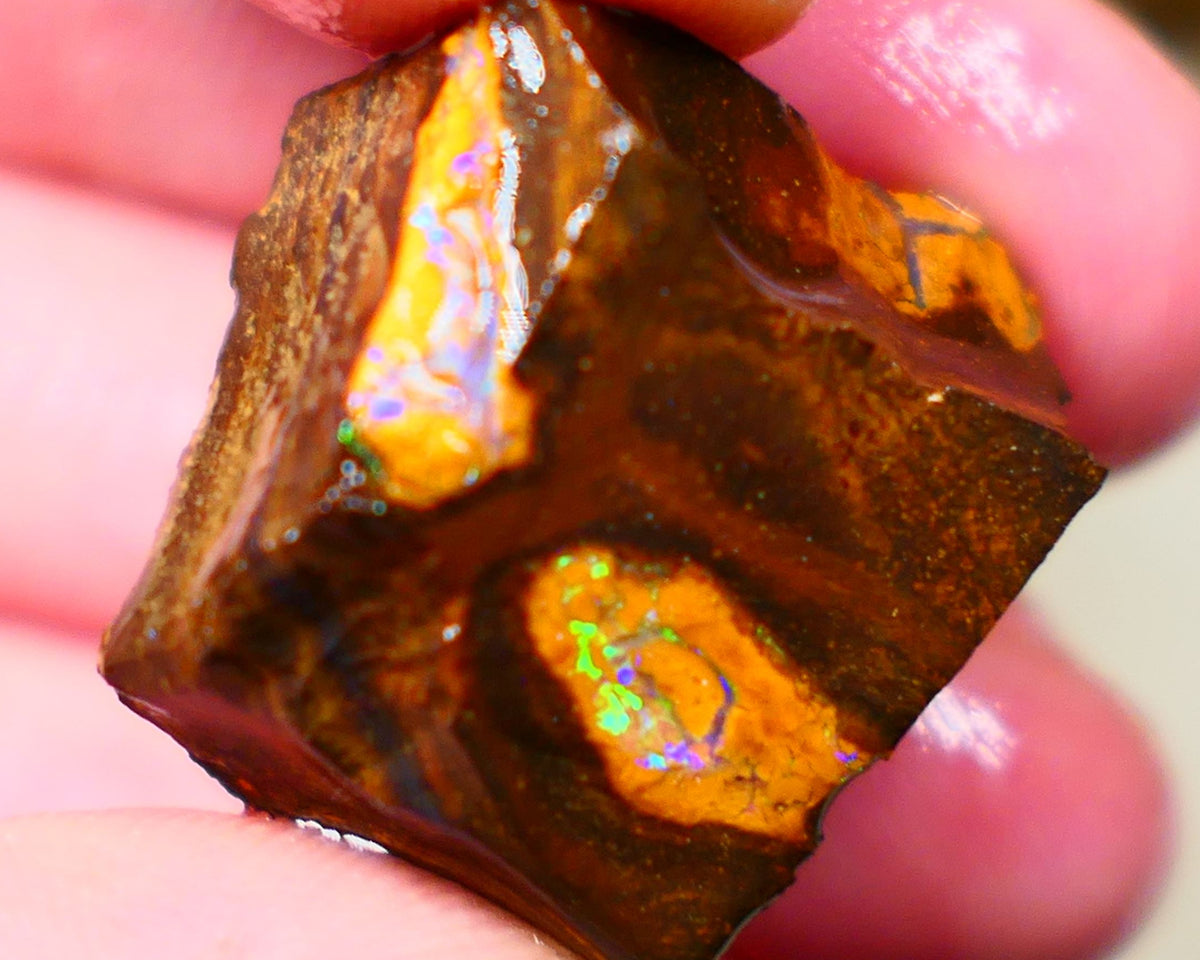 Winton Gem Boulder opal to cut 57.00cts Wonderful Bright & Vibrant Multifires showing on 4 sides time to take the cap off who wants it ? Auction91