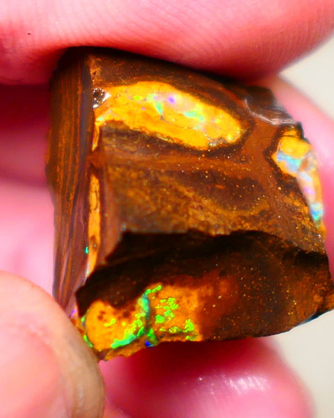 Winton Gem Boulder opal to cut 57.00cts Wonderful Bright & Vibrant Multifires showing on 4 sides time to take the cap off who wants it ? Auction91