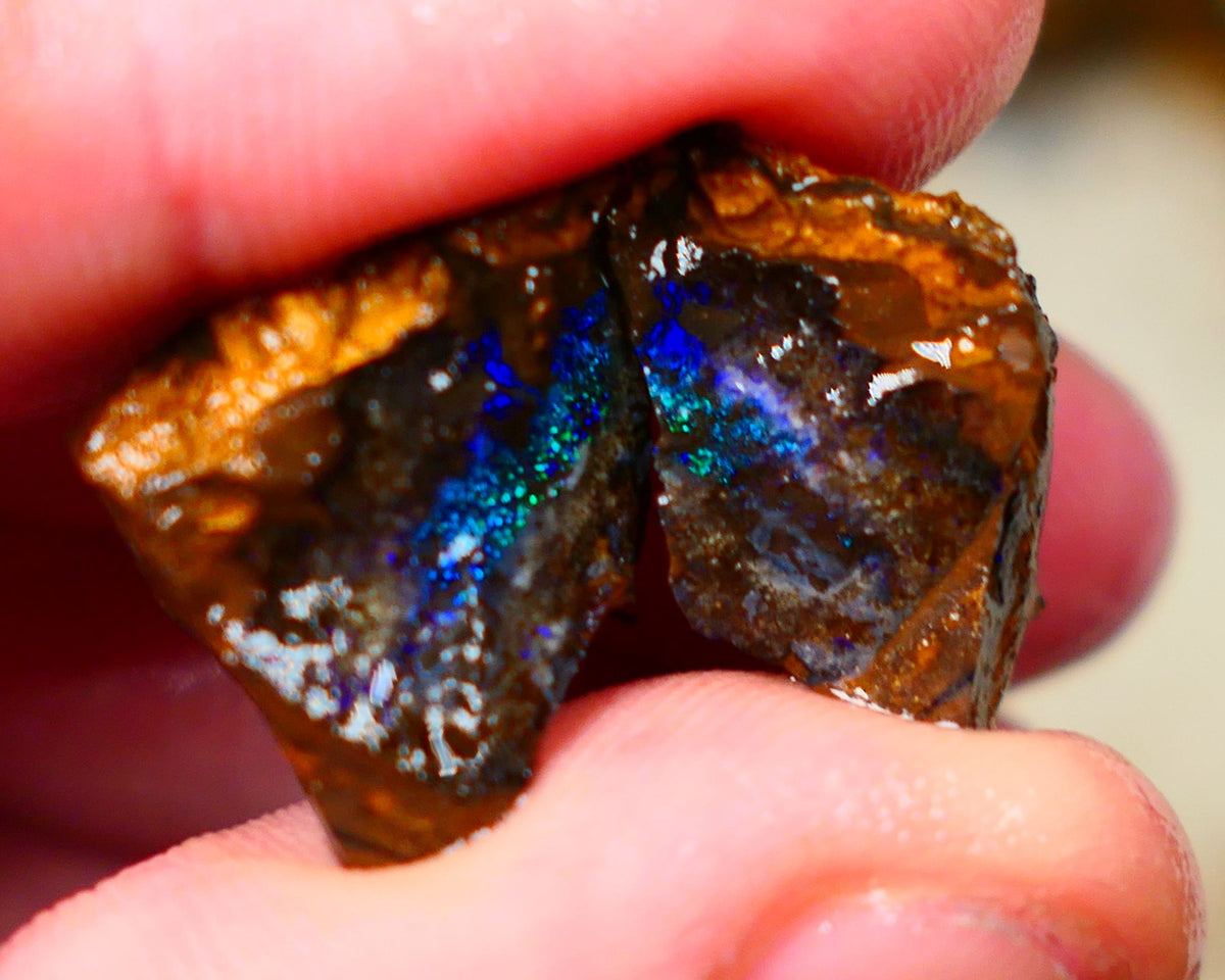 Winton Boulder opal rough split pair Ironstone host 33.00cts Stunning Gorgeous Blue fires 16x14x11mm & 21x12x11mm Auction67