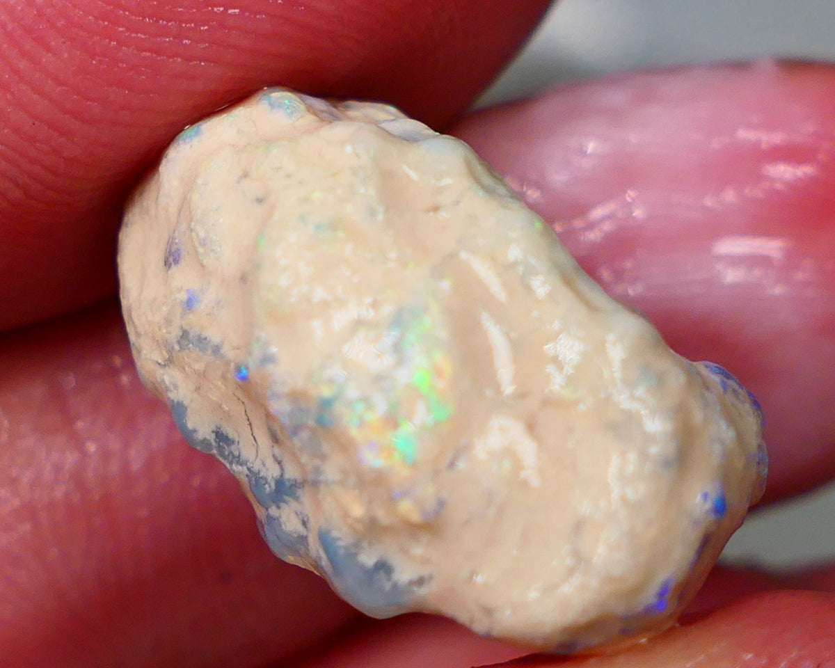 Lightning Ridge Rough Opal 19cts Crystal Gamble Knobby formation blue fires with flashes of yellows 22x15x13mm Auction82