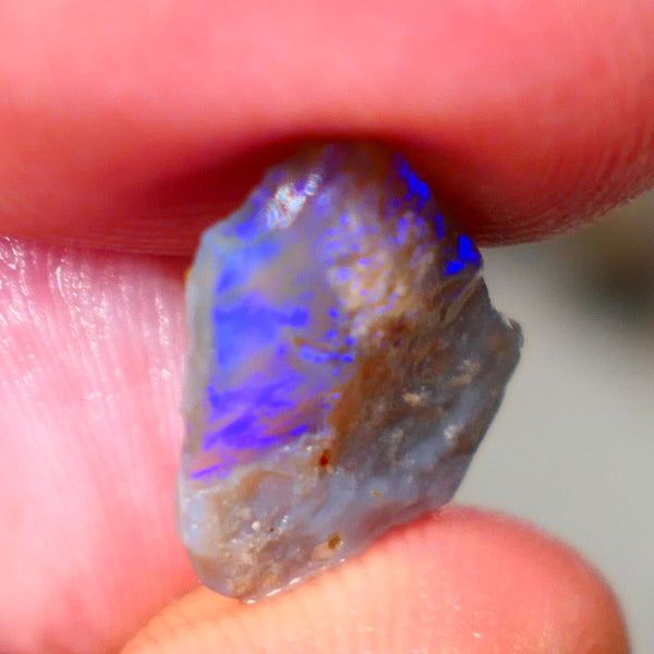 Lightning Ridge Rough rub Opal 3.15cts Dark Base blue dominant fires to cut and polish 15x13x3mm NSW132