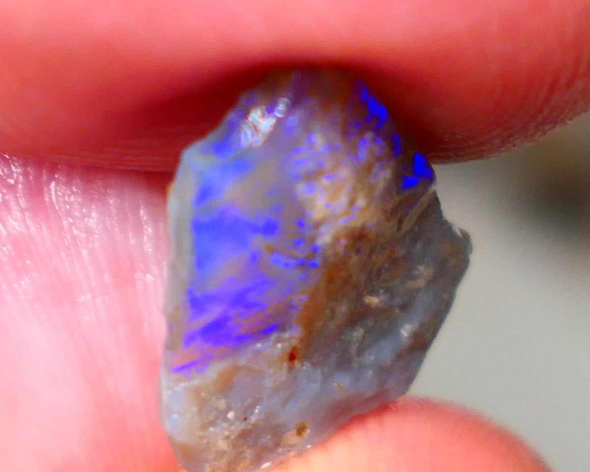 Lightning Ridge Rough rub Opal 3.15cts Dark Base blue dominant fires to cut and polish 15x13x3mm Auction81