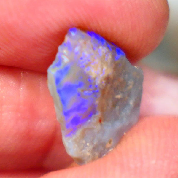 Lightning Ridge Rough rub Opal 3.15cts Dark Base blue dominant fires to cut and polish 15x13x3mm NSW132