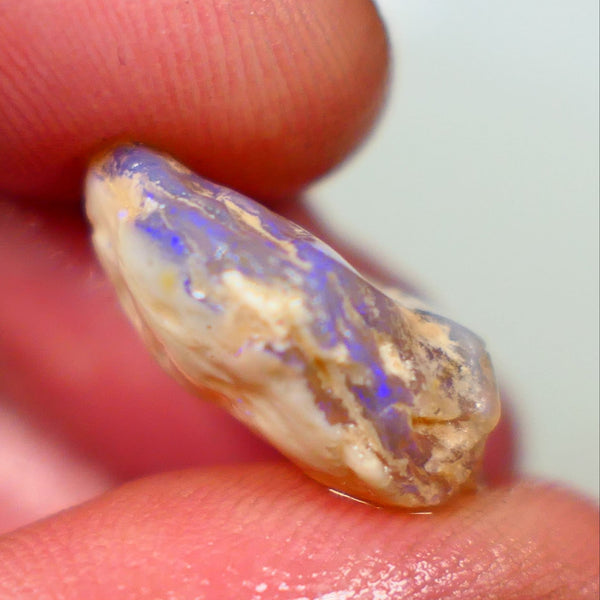 Lightning Ridge Rough Opal 11.25cts Dark Base Crystal Gamble Knobby blue dominant fires with flashes of yellows 18x14x7mm  NSW131