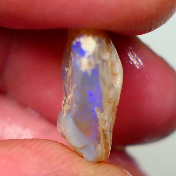 Lightning Ridge Rough Opal 11.25cts Dark Base Crystal Gamble Knobby blue dominant fires with flashes of yellows 18x14x7mm  NSW131