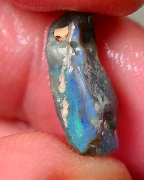 Lightning Ridge Rough Dark base knobby opal 4.50cts showing Greens & Blues in exposed side of bar with blue showing through the skin gamble to cut 16x10x5mm Auction90