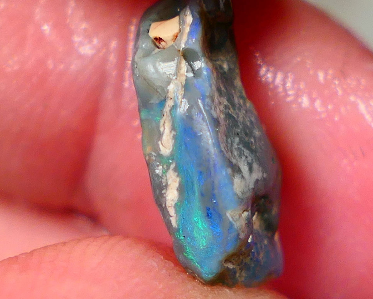 Lightning Ridge Rough Dark base knobby opal 4.50cts showing Greens & Blues in exposed side of bar with blue showing through the skin gamble to cut 16x10x5mm Auction90