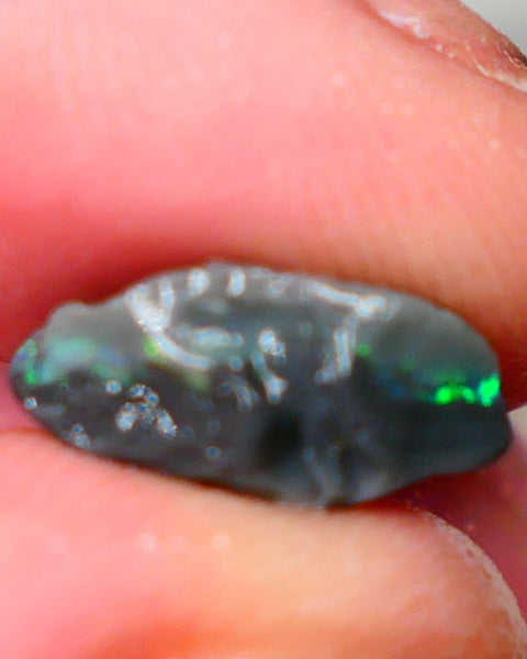 Pea Knobby L/Ridge Rough Black opal 3.20cts small sized but packing a Bright Multicolour bar to chase and explore 13x9x5mm Auction87