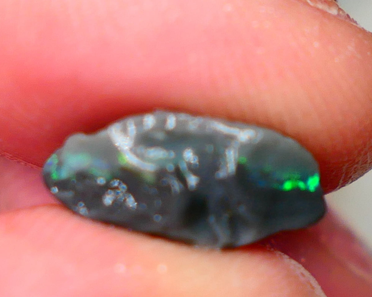 Pea Knobby L/Ridge Rough Black opal 3.20cts small sized but packing a Bright Multicolour bar to chase and explore 13x9x5mm Auction87