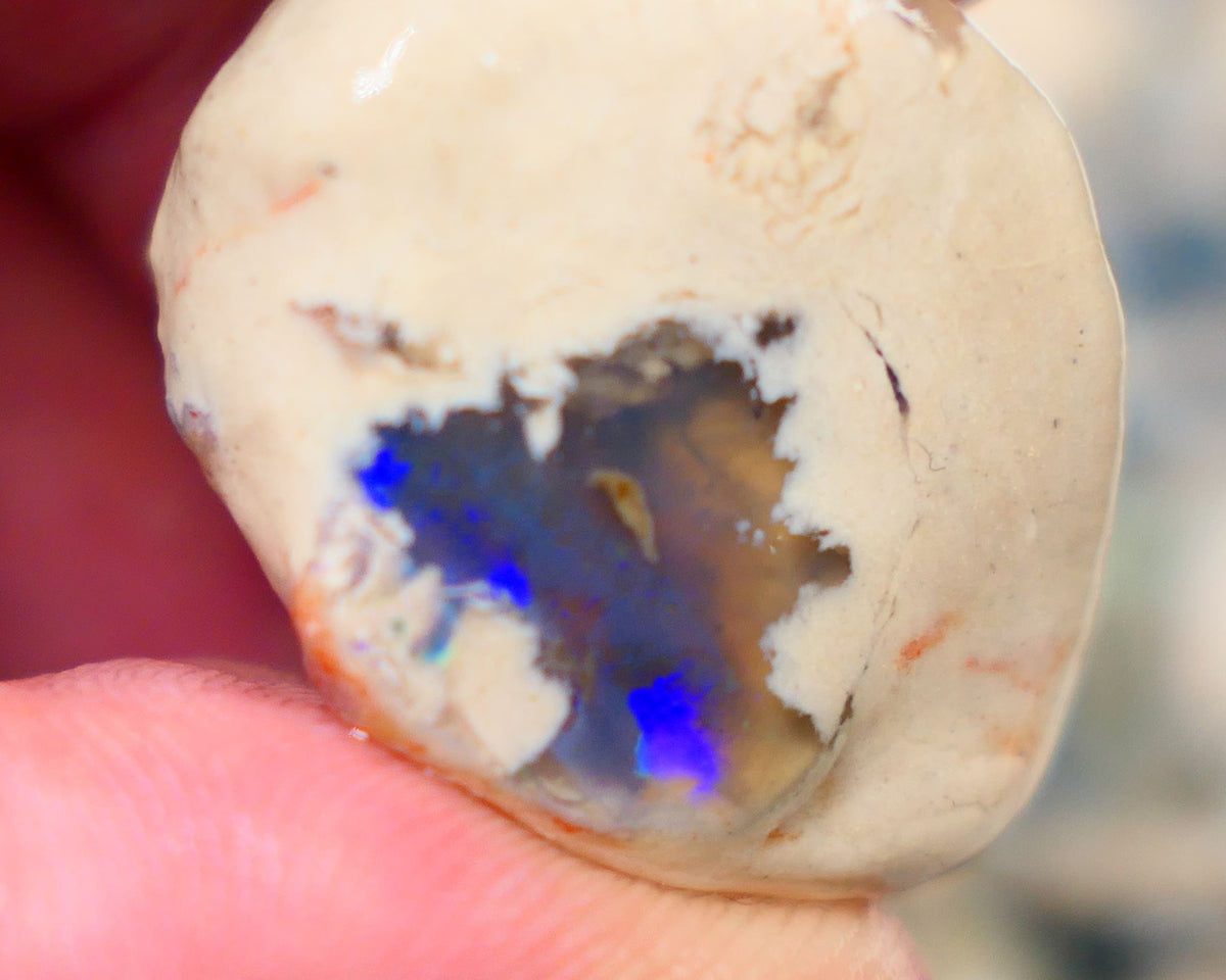 Lightning Ridge Rough Opal Blue on Black/Dark Crystal 52.00cts Big sized Gamble Knobby formation 29x19x16mm Auction105