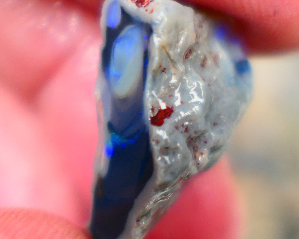 Lightning Ridge Rough Opal half of a black centered knobby split 15.00cts Showing Blue fires Maybe a Picture stone? 24x13x9mm Auction103