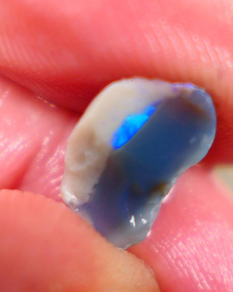 Small half a knobby dark base opal rough 3.15cts Showing small bit of a vibrant bar with Electric greens and blue colours to gamble 12x7x6mm Auction101