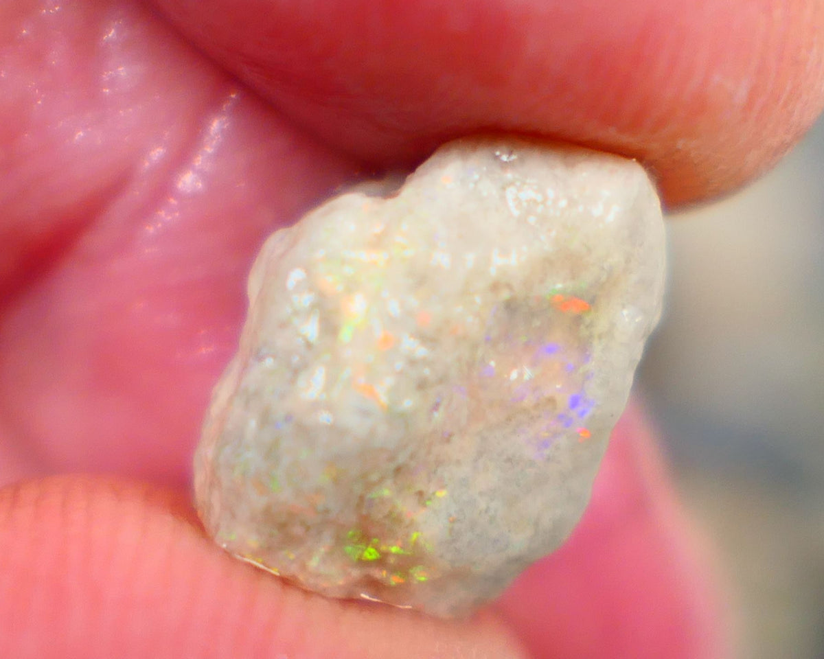 Lightning Ridge Crystal Knobby Rough Opal formation 5.75cts Small sized But Packing Bright Vibrant Multicolours sold as Gamble 14x11x9mm Auction99