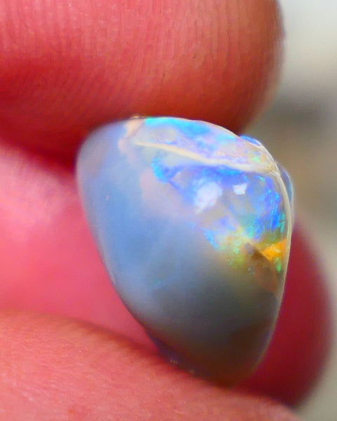 Lightning Ridge Rough knobby opal 7.80cts Dark base fresh from wash showing blue fires in scattered a scattered 15x10x9mm Auction131