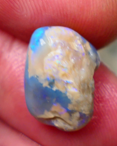 Lightning Ridge Rough knobby opal 7.80cts Dark base fresh from wash showing blue fires in scattered a scattered 15x10x9mm Auction131