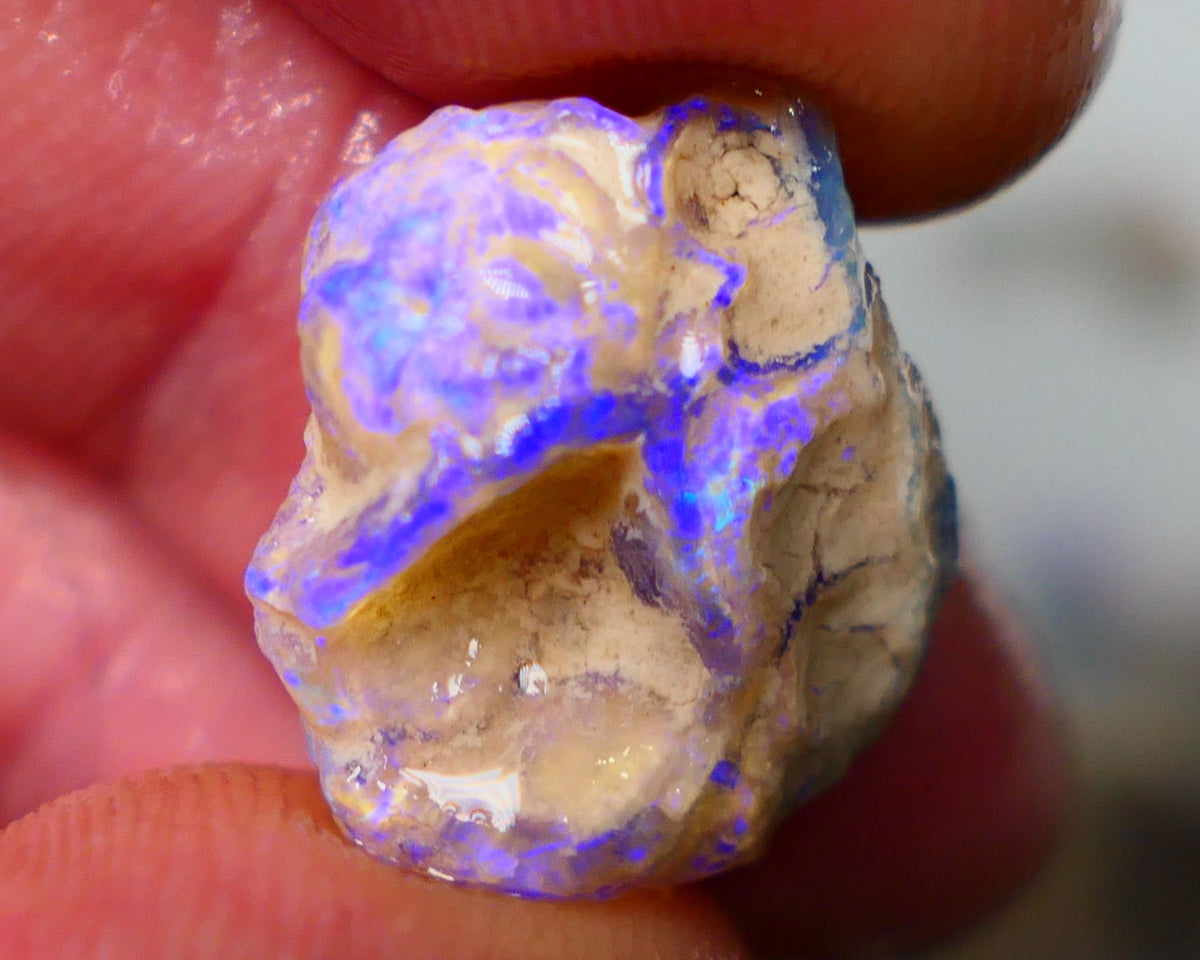 Lightning Ridge Untouched Crystal Knobby opal 8.15cts Vivid Vibrant Electric BLues showing through out suit being carved 17x15x5mm Auction155