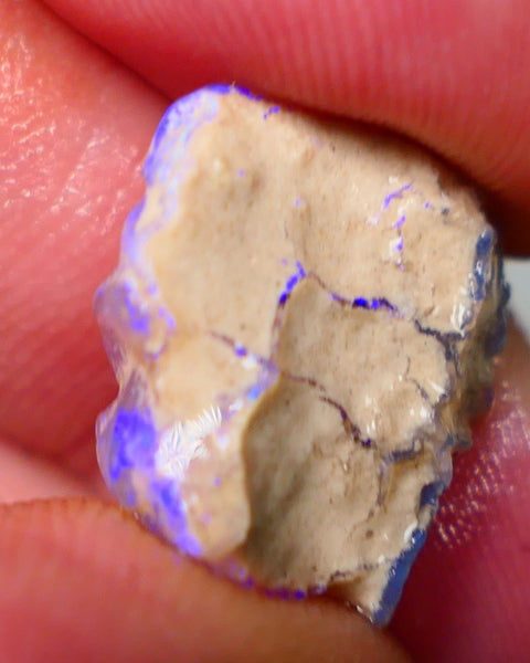 Lightning Ridge Untouched Crystal Knobby opal 8.15cts Vivid Vibrant Electric BLues showing through out suit being carved 17x15x5mm Auction155