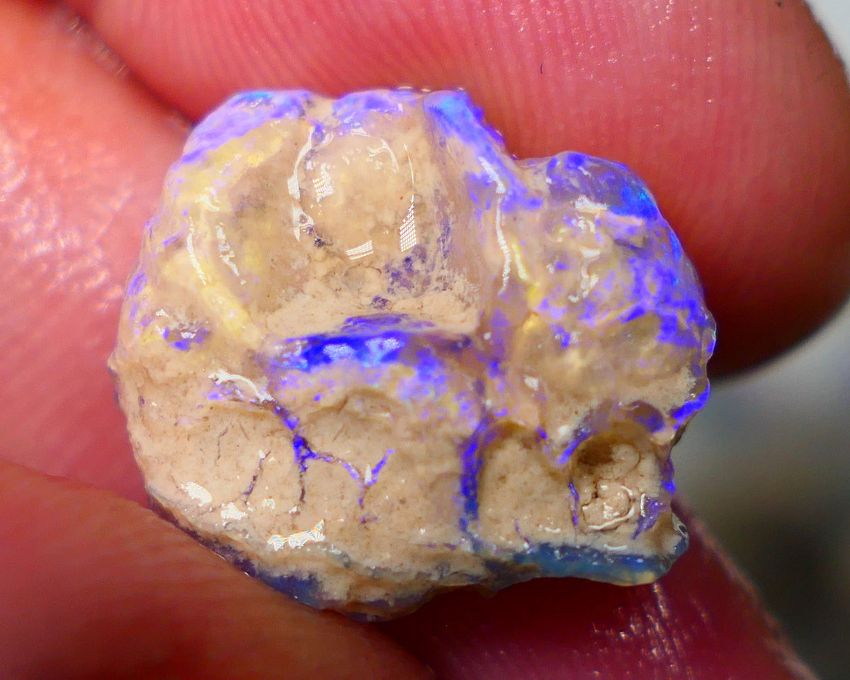 Lightning Ridge Untouched Crystal Knobby opal 8.15cts Vivid Vibrant Electric BLues showing through out suit being carved 17x15x5mm Auction155