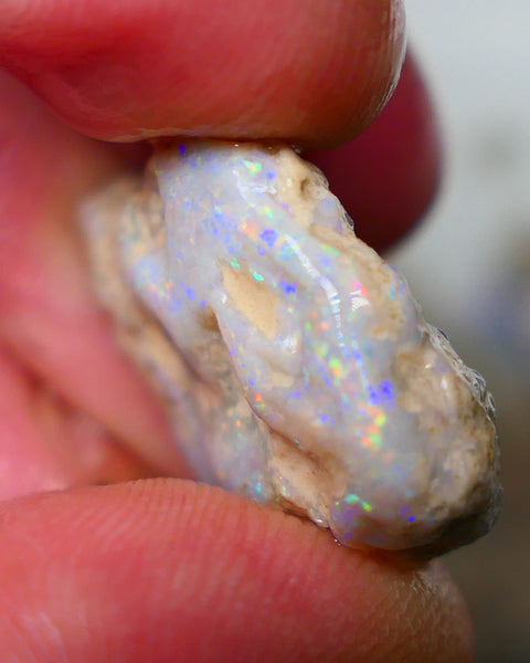 Lightning Ridge Knobby opal formation rough 25.00cts Displaying nice Pastel tones & colours of Multifires 21x20x9mm Auction154