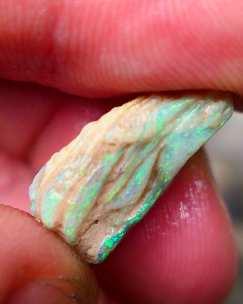 Lightning Ridge Stacked/layer opal formation rough 12.00cts Lots of Nice Multicolour on display here who wants to gamble or collect ? 22x13x7mm Auction152