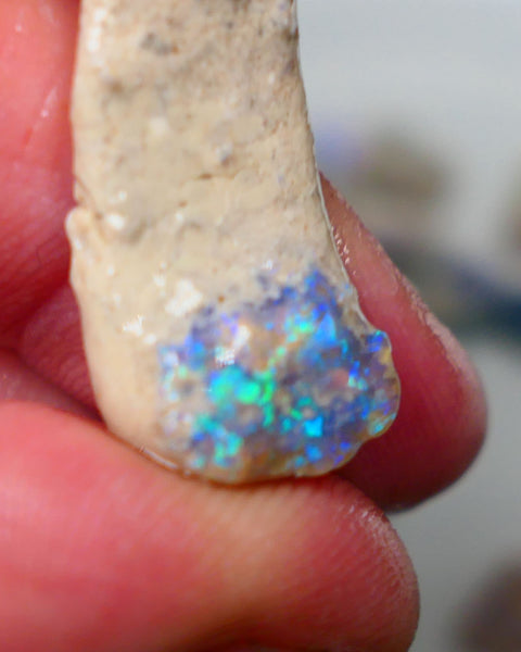 Lightning Ridge Dark Base Crystal knobby opal formation rough 13.50cts Showing nice Blue/green tones of colour 30x12x7mm Auction150