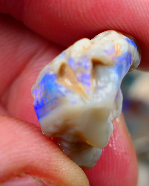 Lightning Ridge Rough Opal 14.00cts Bright Blues showing on Grey base Sold as gamble 20x16x11mm Auction169