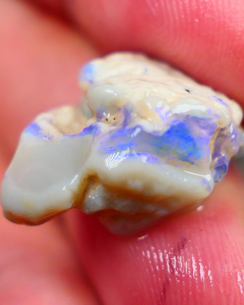 Lightning Ridge Rough Opal 14.00cts Bright Blues showing on Grey base Sold as gamble 20x16x11mm Auction169