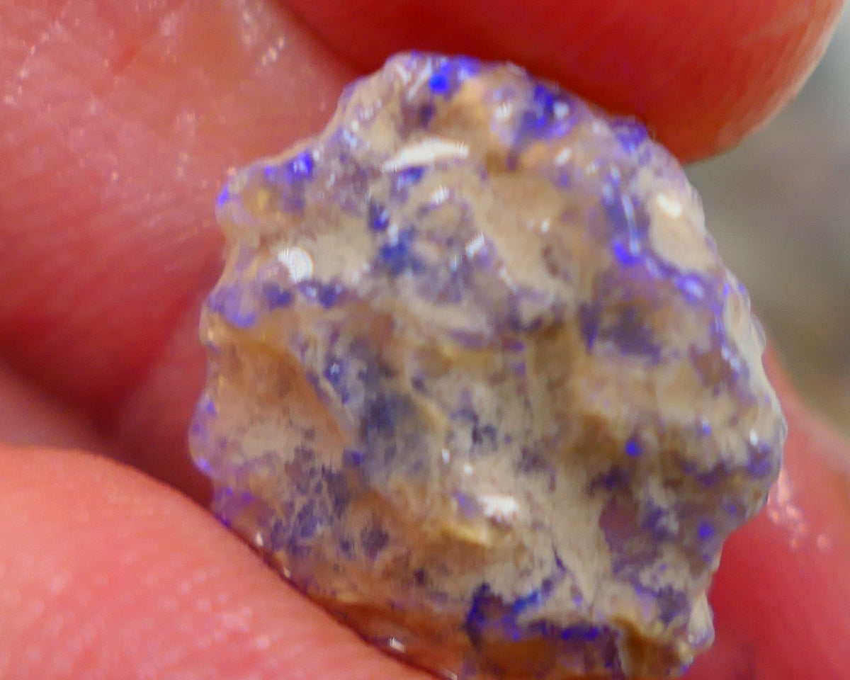 Crystal base untouched knobby opal rough 6.25cts Showing Bright blues through the skin to gamble 16x14x5mm Auction166