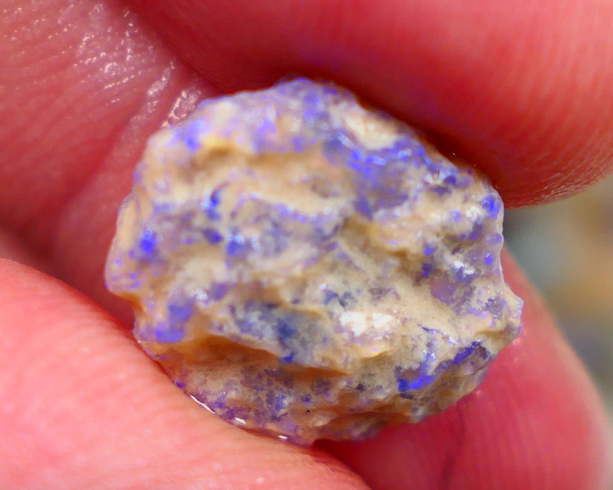 Crystal base untouched knobby opal rough 6.25cts Showing Bright blues through the skin to gamble 16x14x5mm Auction166