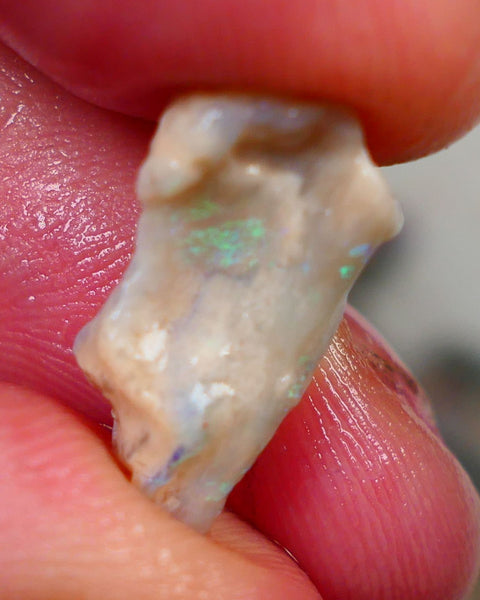 Light opal formation rough L/Ridge 5.50cts Sold as gamble showing some blue/green flashes of fires 17x9x6mm Auction165