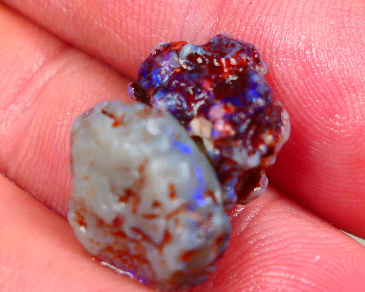 Lightning Ridge Rough Dark Base knobby opal rough pair 10.50cts Both displaying Bright blue fires to gamble 15x10x6mm & 13x10x8mm Auciton162