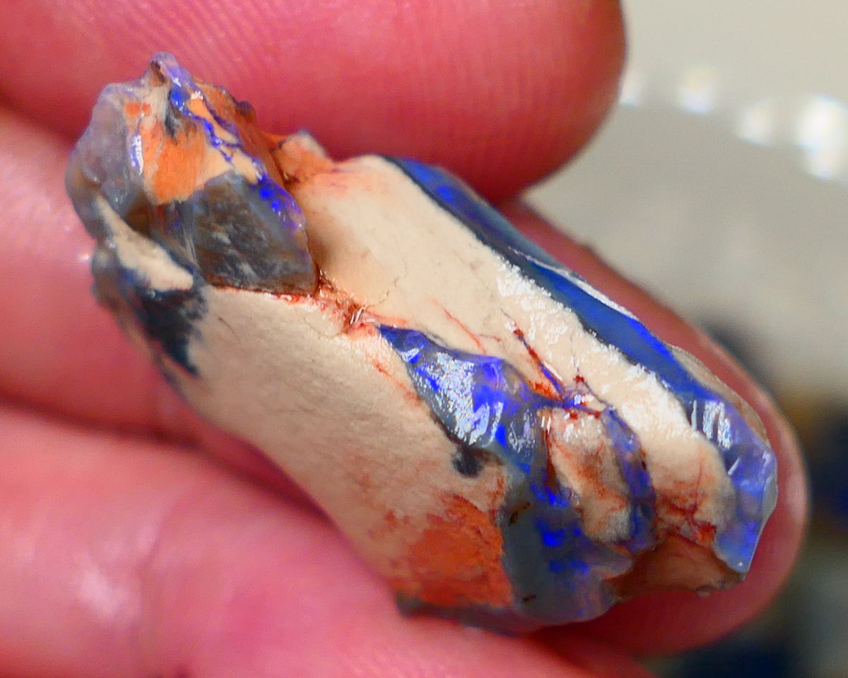 Lightning Ridge Dark base seam opal fresh from the mine walls 21.00cts Gorgeous Blue fires 29x17x11mm Auction179