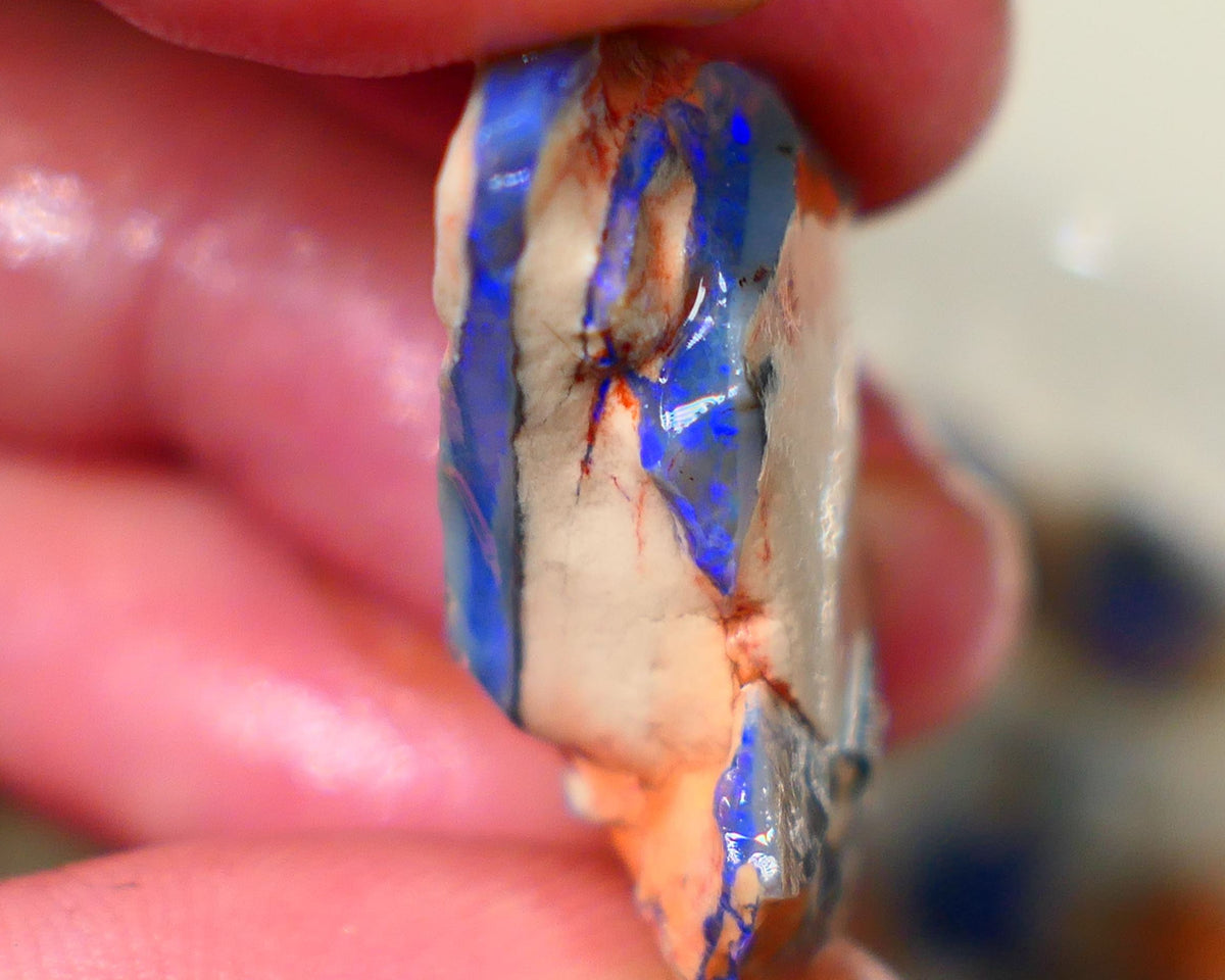 Lightning Ridge Dark base seam opal fresh from the mine walls 21.00cts Gorgeous Blue fires 29x17x11mm Auction179