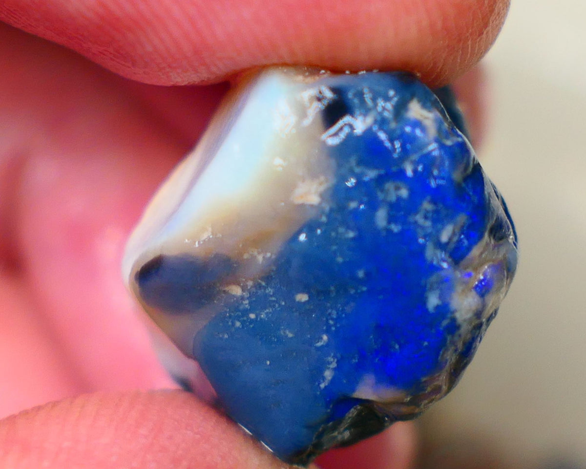 Lightning Ridge Knobby opal rough 37.80cts Blue fires sold as gamble Auction188