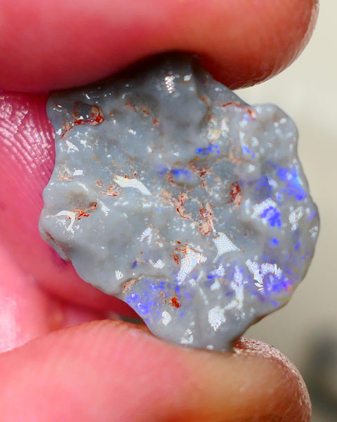 Lightning Ridge Dark base Witches hat knobby opal rough 10.50cts Bright Blue colours to gamble and explore 20x18x7mm Auction182