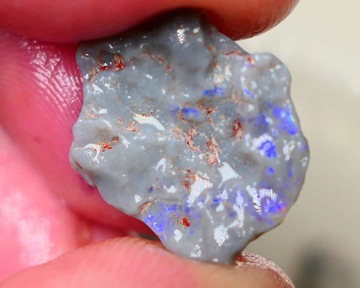 Lightning Ridge Dark base Witches hat knobby opal rough 10.50cts Bright Blue colours to gamble and explore 20x18x7mm Auction182