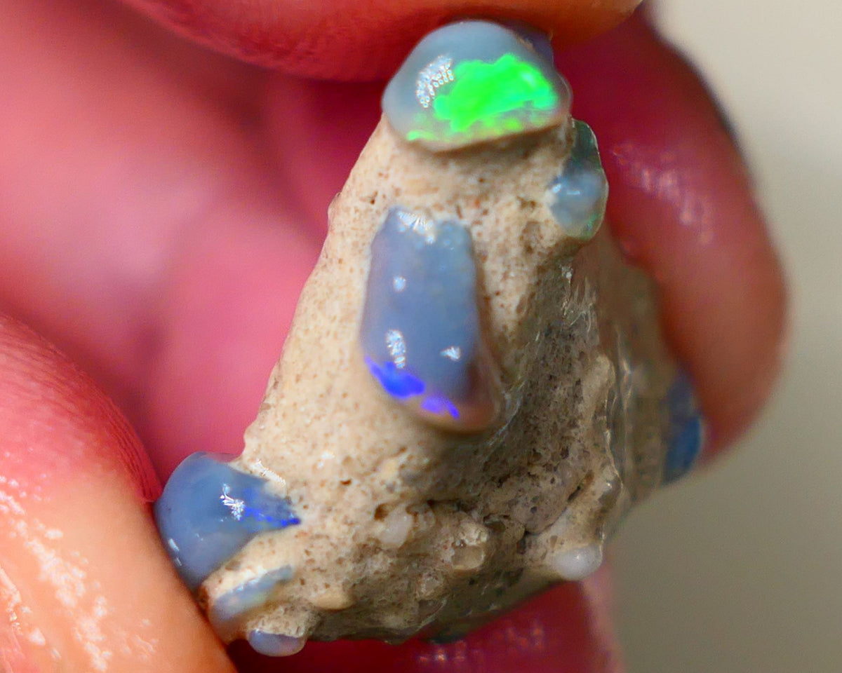 Lightning Ridge Amazing unique Seam opal formation rough 20.00cts Wow Amazing combination of various opal formations in one. Bright Multicolours 21x20x10mm Auciton184