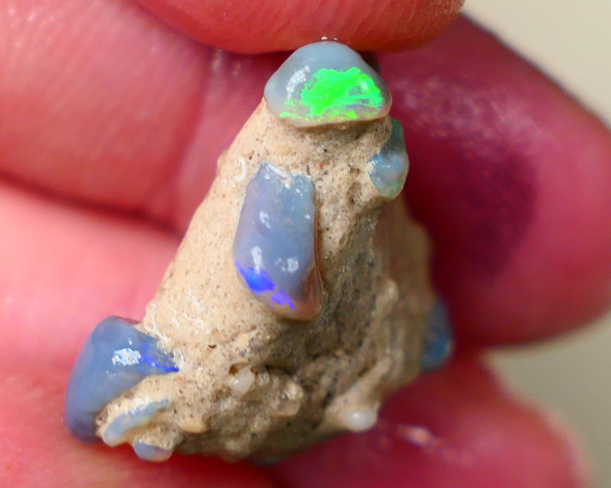 Lightning Ridge Amazing unique Seam opal formation rough 20.00cts Wow Amazing combination of various opal formations in one. Bright Multicolours 21x20x10mm Auciton184