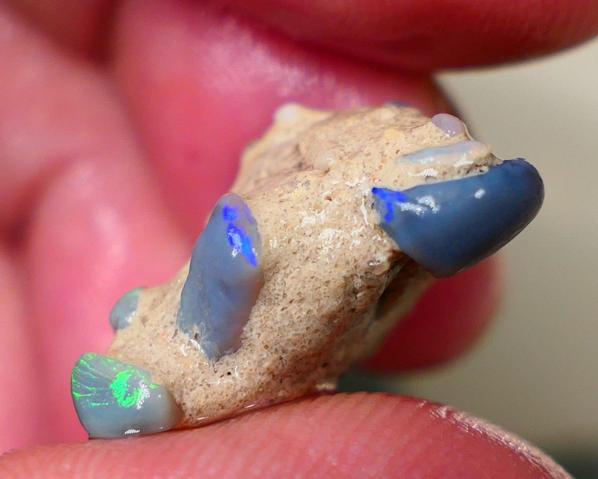 Lightning Ridge Amazing unique Seam opal formation rough 20.00cts Wow Amazing combination of various opal formations in one. Bright Multicolours 21x20x10mm Auciton184