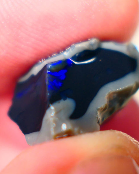 Lightning Ridge Jet Black N1 base seam opal rough 13.75cts Grogeous Vibrant Bright Royal Blues 20x14x13mm Auction185