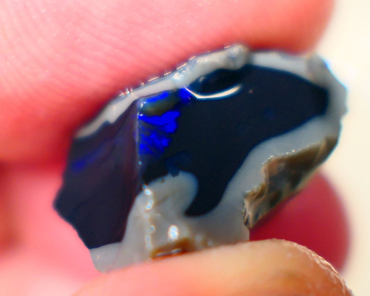 Lightning Ridge Jet Black N1 base seam opal rough 13.75cts Grogeous Vibrant Bright Royal Blues 20x14x13mm Auction185