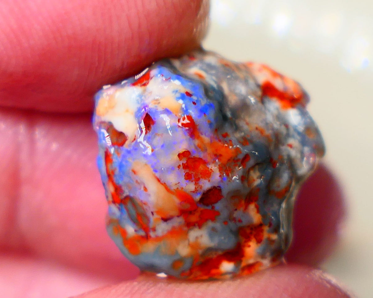 Opal Fever Mate Auction