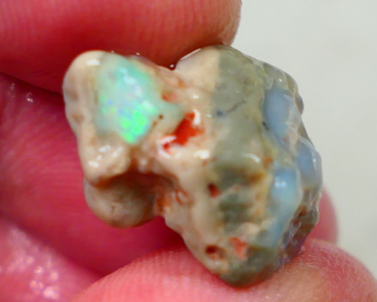 Lightning Ridge Dark base knobby opal formation 11.50cts Green/Blue fires showing sold as gamble 20x12x11mm Auction172