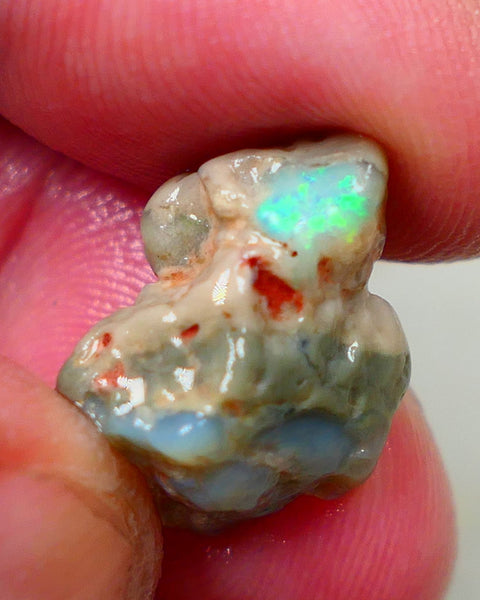 Lightning Ridge Dark base knobby opal formation 11.50cts Green/Blue fires showing sold as gamble 20x12x11mm Auction172