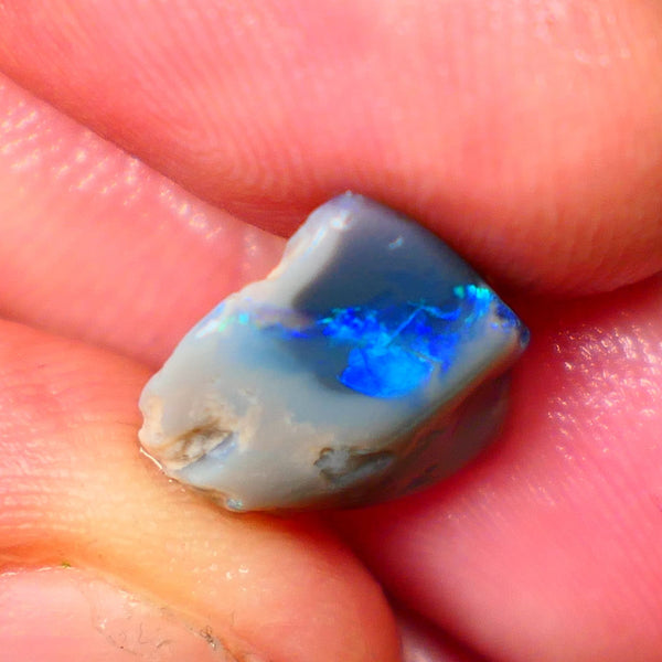 Lightning Ridge Black opal Rub /rough 6.00cts Stunning Bright Electric Blues with hints of Greens 14x12x6mm GMB-008