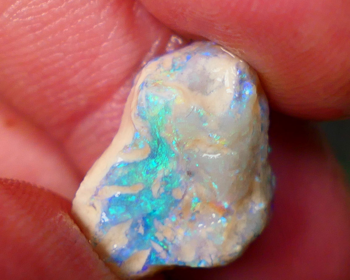 Lightning Ridge Dark Crystal knobby opal formation 7.25cts Gorgeous Green & Blue tones sold as gamble 16x13x7mm GMB-005