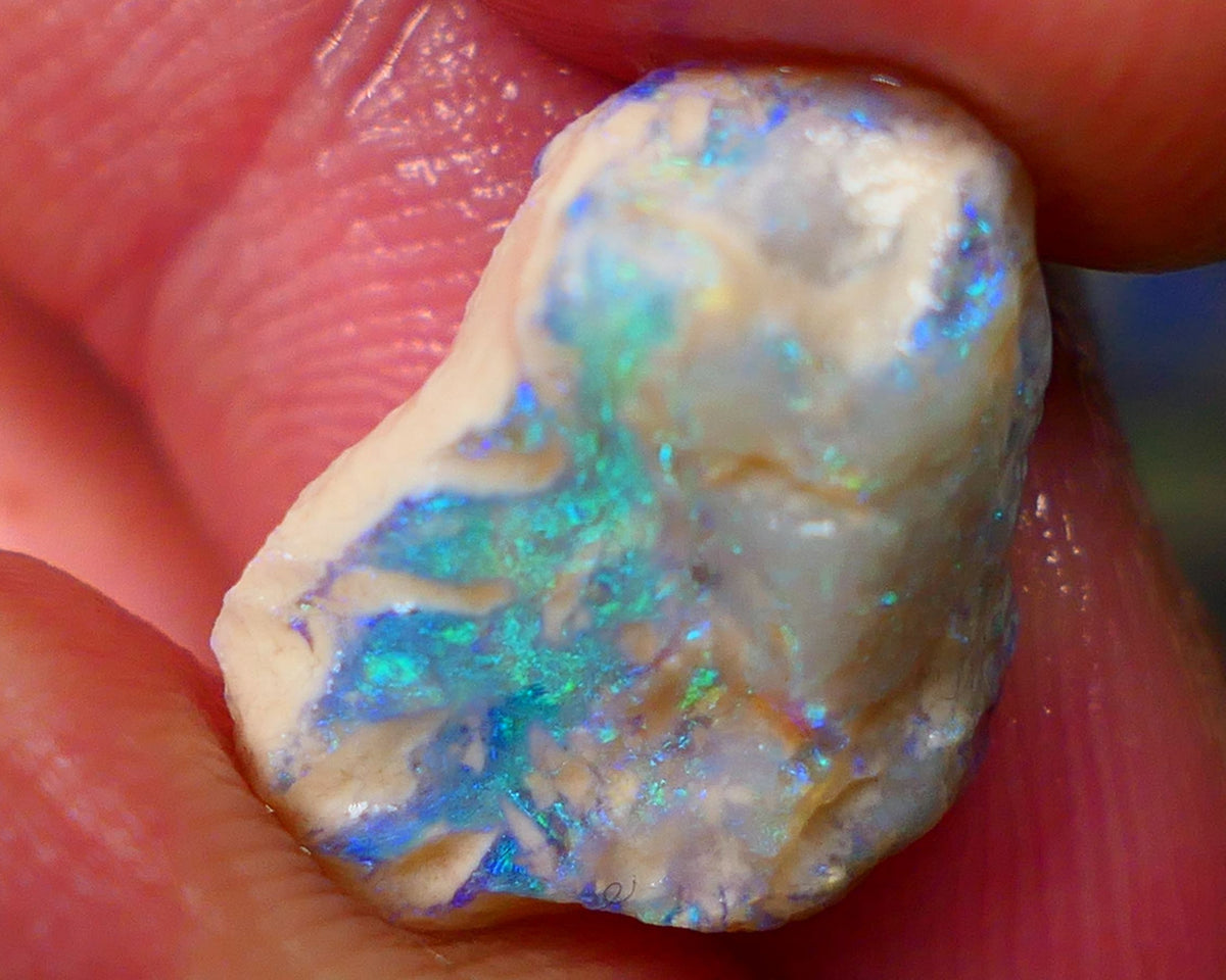 Lightning Ridge Dark Crystal knobby opal formation 7.25cts Gorgeous Green & Blue tones sold as gamble 16x13x7mm GMB-005