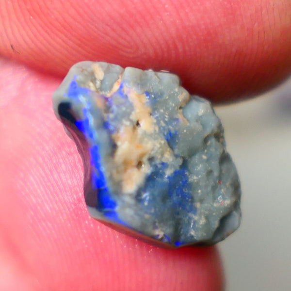 Lightning Ridge Black Centered Dark Base Knobby opal rough 5.30cts Clipped to expose Bright bar with blue fires 17x12x6mm GMB-017