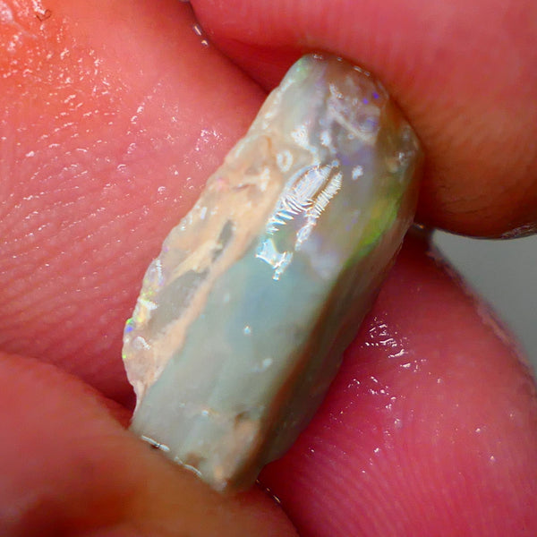 Lightning Ridge  Opalised Wood fossil rough opal 4.60cts Dark base with some Multicolour flashes to explore or collect 18x7x6mm GMB-011