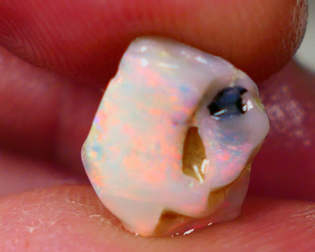 Lightning Ridge Light base knobby opal rub/rough 3.20cts Packing Orange dominant exposed Multifires 11x9x5mm GMB-026